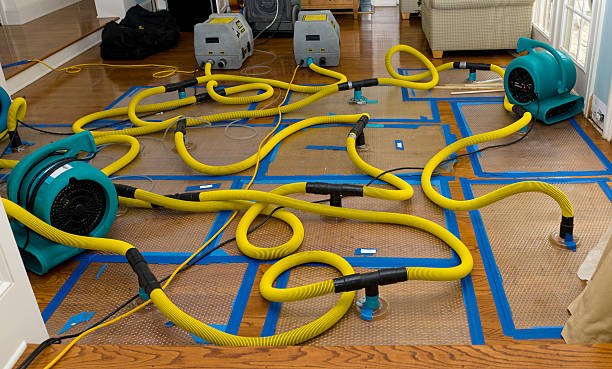 Professional Water Extraction technician working in Levittown, NY